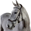 modern bridle, fancy looking bridle, starwest leather bridle, modern equestrian