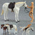 Anime Archetype Movable Horse and Rider Ferrite Figma