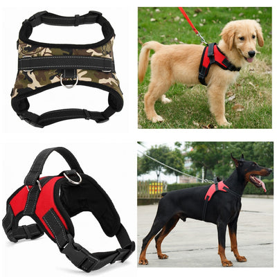 Adjustable Padded  Pet Harness Collar